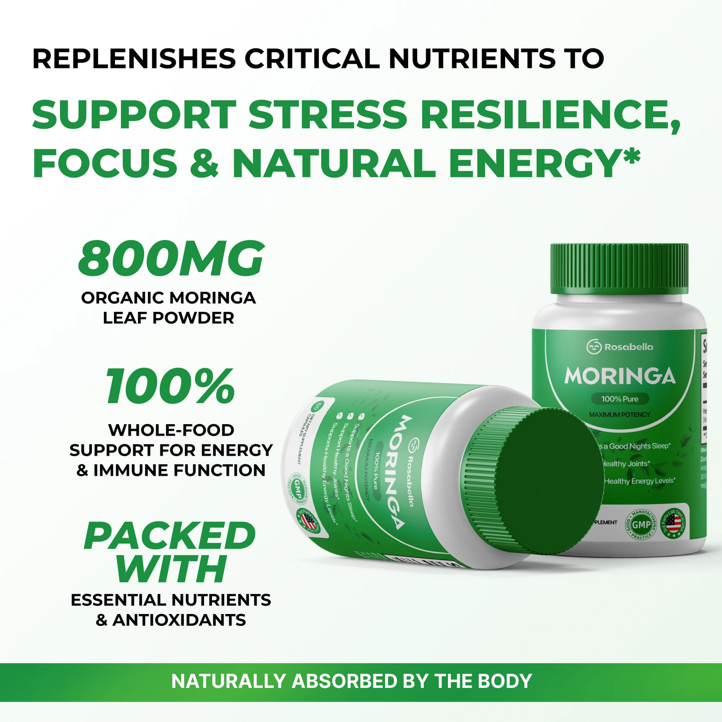 Moringa: Reduce naturalmente el cortisol para ayudar a restablecer el equilibrio interno y externo.