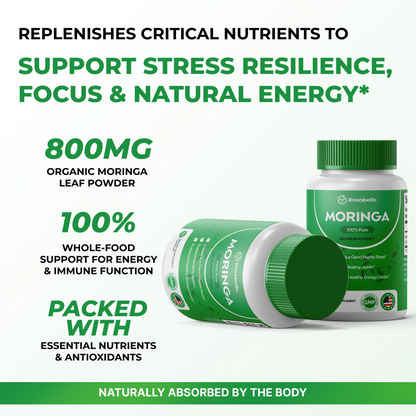 Moringa: Reduce naturalmente el cortisol para ayudar a restablecer el equilibrio interno y externo.