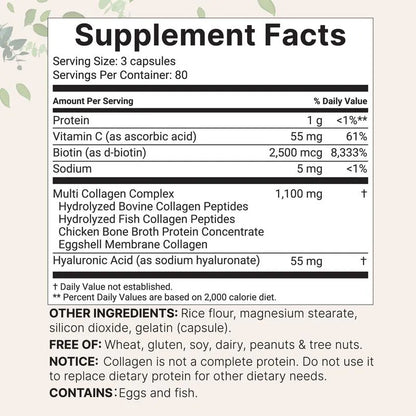 Black Friday Bundle - Definitivo De Vitaminas 6 En 1